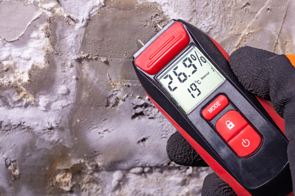 property inspections South Africa home inspection services building inspections damp inspections property condition reports interNACHI NHBRC