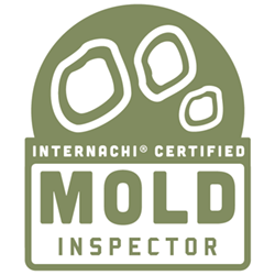 property inspections South Africa home inspection services building inspections damp inspections property condition reports interNACHI NHBRC